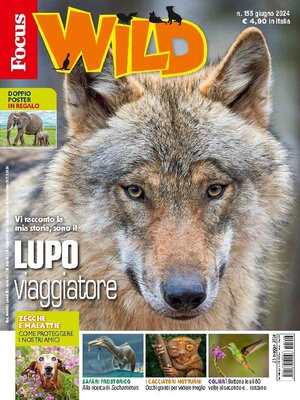 cover image of Focus Wild 